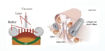 whatsapp image 2025-03-29 at 16.01.28.jpeg