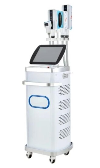 whatsapp image 2025-03-29 at 12.27.49.jpeg