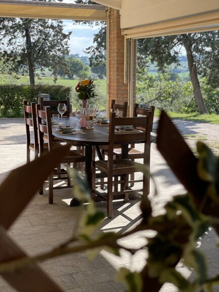 img_6386.jpeg img_6386.jpeg