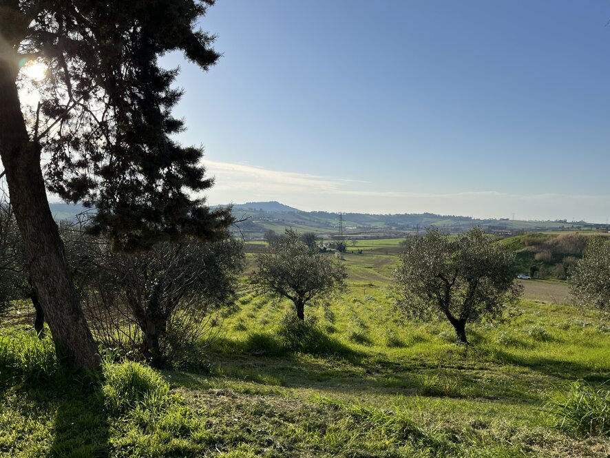 img_2398.jpeg img_2398.jpeg