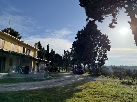 img_2396.jpeg img_2396.jpeg