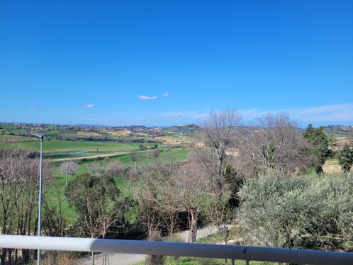panorama3.jpeg