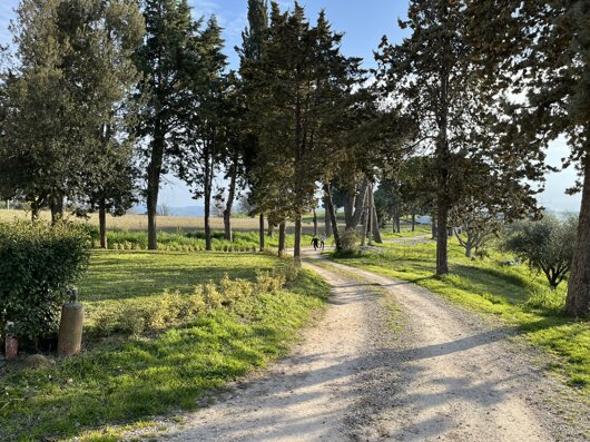 img_2399.jpeg img_2399.jpeg