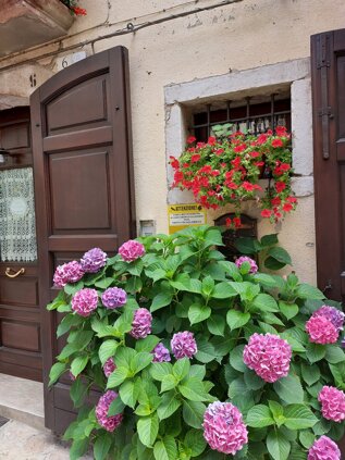 6017_4fd60cf51e6b56c7552b32def659e5dbd0053b9b