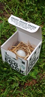 supporto-16-eggrock-omaggio