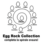 supporto-16-egg-rock-omaggio