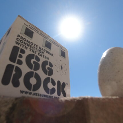 eggrockcubebox.jpeg eggrockcubebox.jpeg