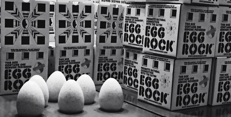 supporto-16-eggrock-omaggio supporto-16-eggrock-omaggio