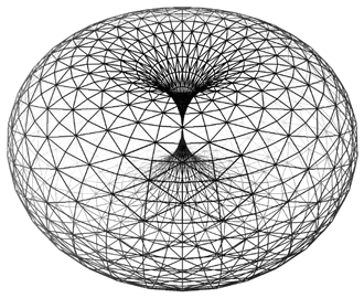 torus