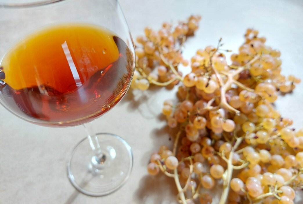 SARACENA PROTAGONISTA AL VINITALY COL MOSCATO PASSITO