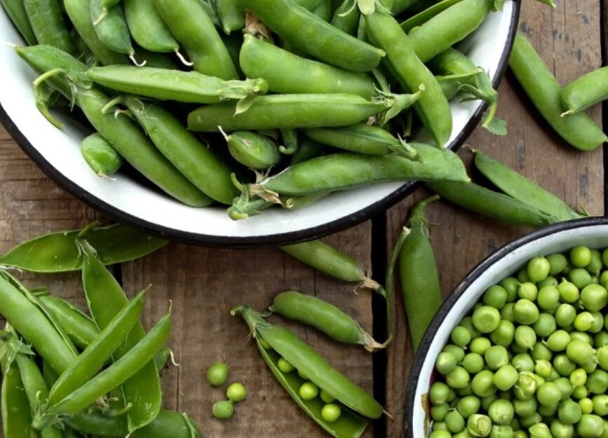 GUSTO, TRADIZIONE E IDENTITÀ: AD AMENDOLARA TORNA LA SAGRA DEI PISELLI