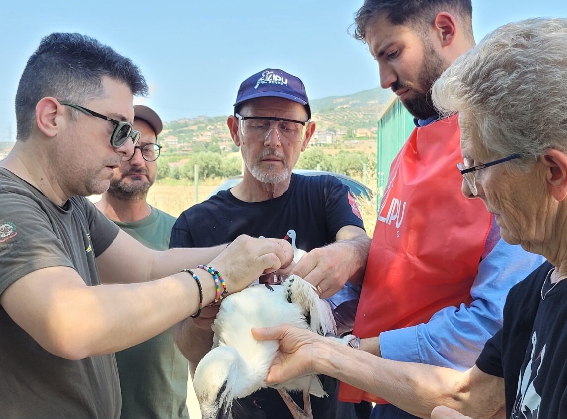 MASSIMO, IL MARATONETA DEI CIELI: DALLA VALLE DEL CRATI AL CUORE DELL&rsquo;AFRICA E RITORNO