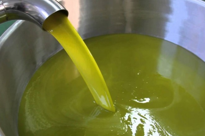 OLIVICOLTURA, A CO-RO UN CONFRONTO SUL FUTURO DEL SETTORE