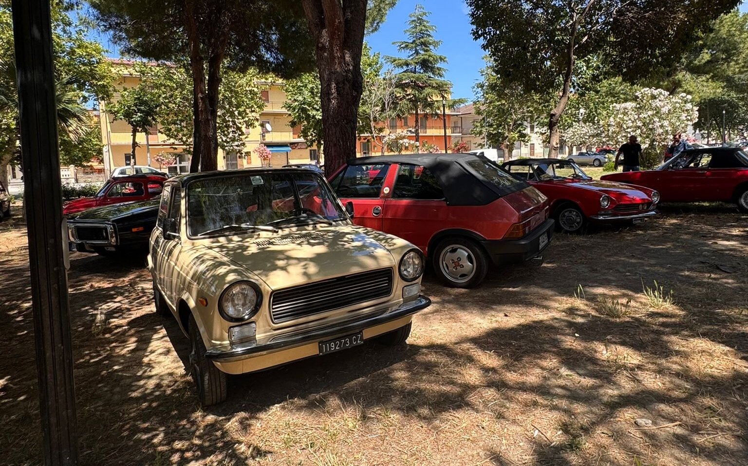 MOTORI, SESSANTA AUTO D&rsquo;EPOCA A PIETRAPAOLA