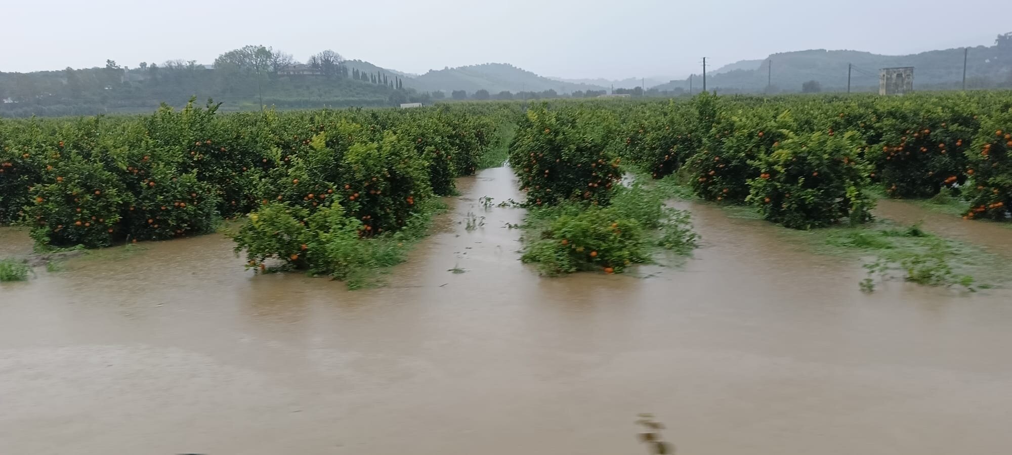 MALTEMPO, OK DELLA GIUNTA AL SOSTEGNO ECONOMICO PER LE IMPRESE COLPITE