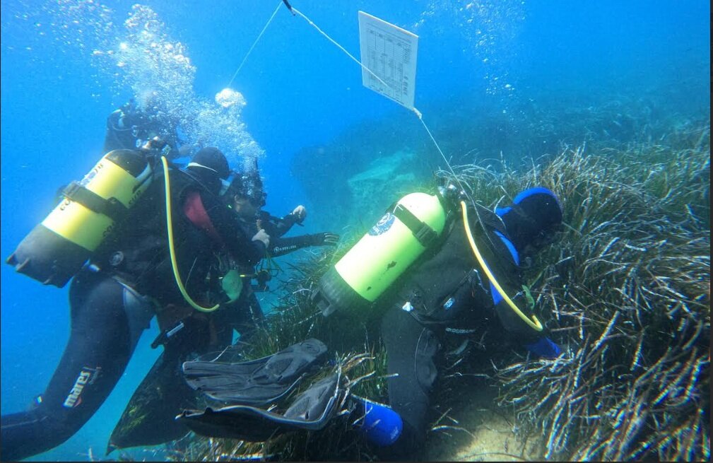 CALABRIA PROTAGONISTA IN EUROPA CON IL PROGETTO EDIPO