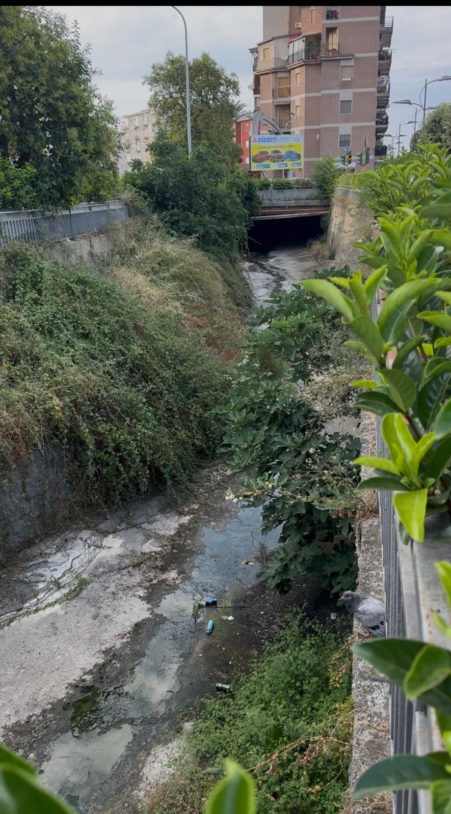 Fossi, torrenti e canaloni: chiedo un controllo complessivo su tutto il territorio di Corigliano-Rossano