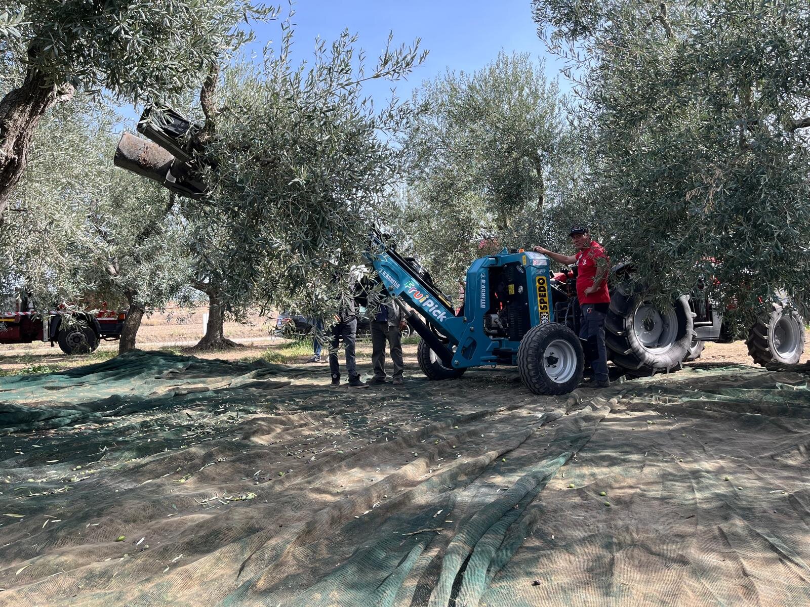 Academy Olivo in Campo Calabria, due giorni tra campo, innovazione, mercato e strategie per il futuro dell’olivicoltura