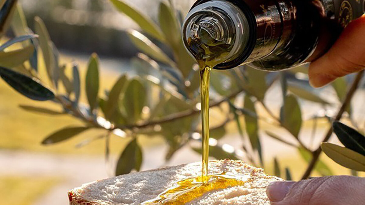 CALABRIA, L’OLIO EXTRAVERGINE CONQUISTA LA GUIDA SLOW FOOD 2026