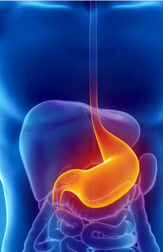 gastroenterologia2