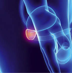 urologia