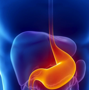 gastroenterologia