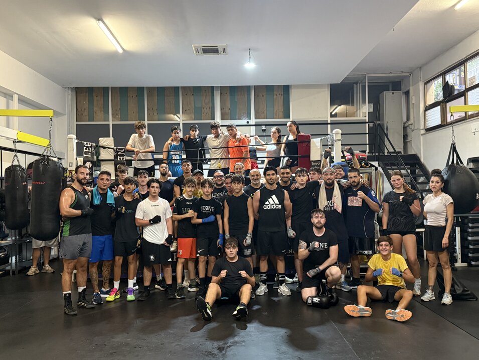 img_4316.jpeg img_4316.jpeg