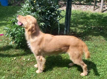 0a0b4057dbcf21405bdba5138553a85c2b3302ce 0a0b4057dbcf21405bdba5138553a85c2b3302ce