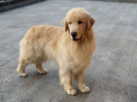 7571c21a1222da302841a7532eaac3ae8b51e12e 7571c21a1222da302841a7532eaac3ae8b51e12e