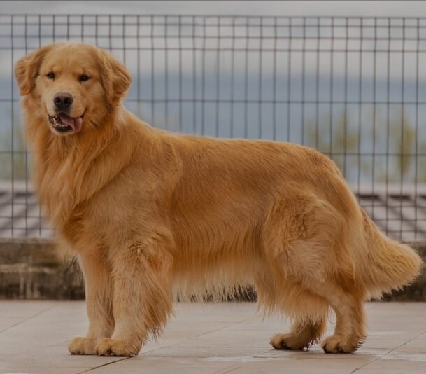 whatsapp image 2026-01-04 at 18.08.31.jpeg whatsapp image 2026-01-04 at 18.08.31.jpeg