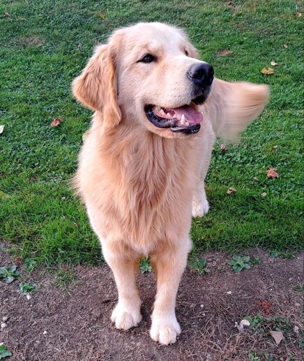 aa20ce8f5b88159672fd35a2536e9940878bc1bc aa20ce8f5b88159672fd35a2536e9940878bc1bc