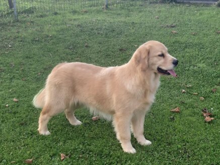 c32bcf009757f1b8e3fc8717cbf5dfabac1c17cd c32bcf009757f1b8e3fc8717cbf5dfabac1c17cd