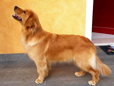 ecd13c1ad3f943d3fe6f0c8ff8f0a14c6e68822d ecd13c1ad3f943d3fe6f0c8ff8f0a14c6e68822d