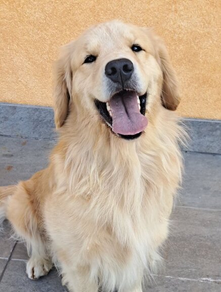 ee1a516ce2c639f7a407a058c3760c736eac9aba ee1a516ce2c639f7a407a058c3760c736eac9aba