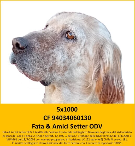 logo 5 x 1000 2026 definitivo.jpeg