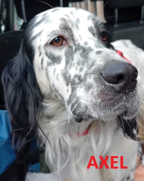 axel foto con nome.jpeg