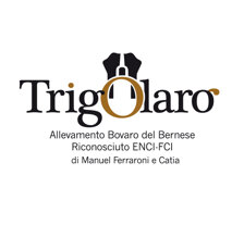 logo con intestazione_1.jpeg