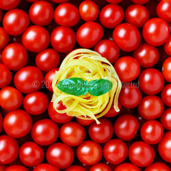 oe-21-012_tagliatelle_pomodorini