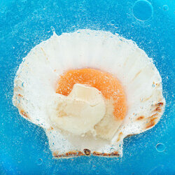 oe-21-061_capasanta4