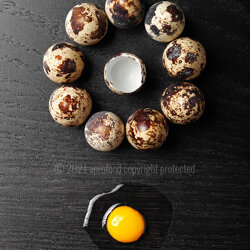 oe-21-026_uova_di_quaglia