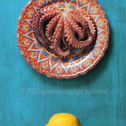 oe-21-001_polpo_al_vapore