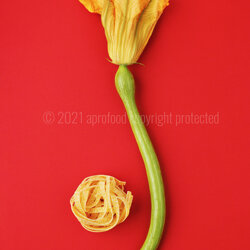 oe-21-021_tagliatelle_alluovo_con_zucchina_trombetta