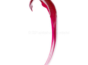 71e244e8cc96eb2c75e085397726cf725791dd9b