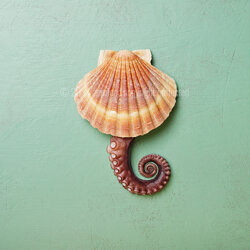 oe-21-043_tentacolo_di_polpo_al_vapore