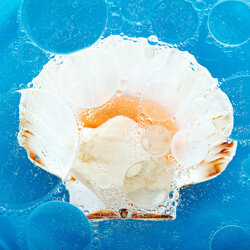 oe-21-059_capasanta2