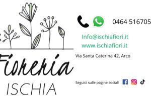 il%20gelatiere