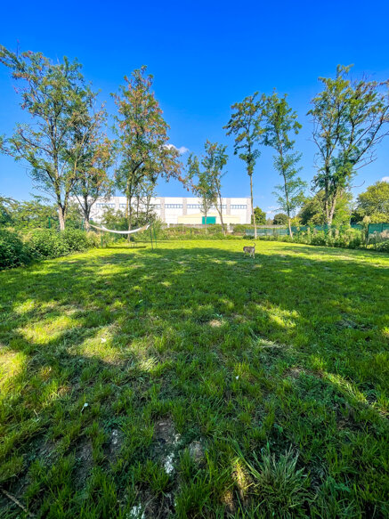 img_6715.jpeg img_6715.jpeg