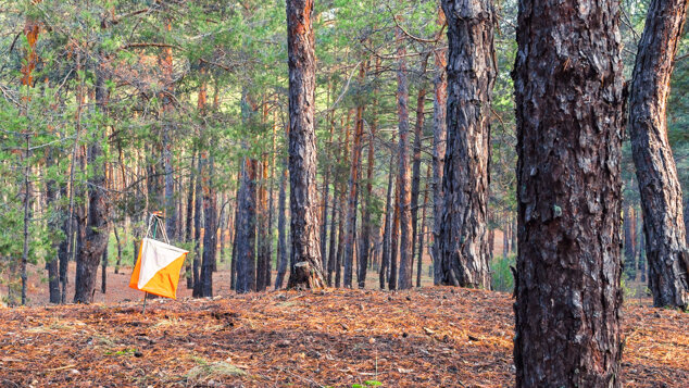 22b2b24d5a657fba2f6c5b2341d9546e88eb1251