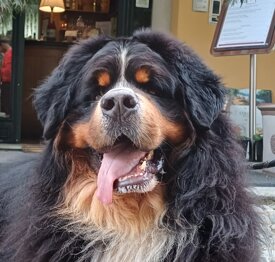 20250913_113345.jpeg 20250913_113345.jpeg