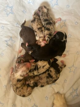 431b2e0affea816d1a32b2110c2ae0ad9a2349f7